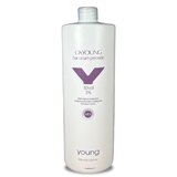 YOUNG Hidrogen 3%, 1 l Cene
