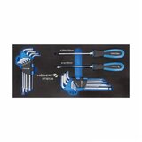 Organizator EVA SET ODVIJAČA IMBUSI HEX I TORX 20 KOM HT7G134 | ePonuda.com