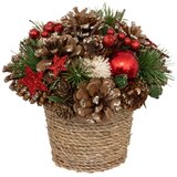 Atmosphera novogodišnja dekoracija cveće u saksiji 19 cm natural (191355) Cene