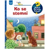 Kako? Od kod? Zakaj? Ko se stemni