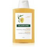 Klorane Mango šampon 200ml Cene