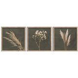 Styler Plakati v kompletu 3 ks z okvirjem 30x30 cm Pampas – Cene