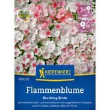 KIEPENKERL Plamenka "Blushing Bride" - 1 pkt. | Shoptok.si