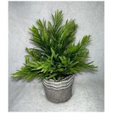  CVIJEĆE UKRASNO DK23203 Cijene