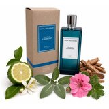 Angel Schlesser Les Eaux D'Un Instant Aromatic Sage toaletna voda za muškarce 150 ml | shoptok.hr