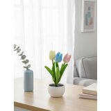 Sinsay Dekorativni tulipani u posudi | shoptok.hr