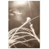  Slika - Fluffy Grass (1 Part) Vertical 20x30 | shoptok.hr