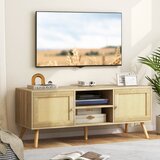 Pohištvo TV omarica iz ratana, dim.120 x 40 x 48,5 cm | Shoptok.si