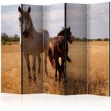  Paravan u 5 dijelova - Horse and foal II [Room Dividers] 225x172 Cijene