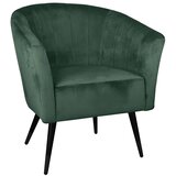 Eglo 424945 - Fotelja AMPAHA 78x70 cm zelena Cene