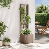  Vrtni saksija s rešetkom Smeđa 36 x 36 x 140 cm PP | shoptok.hr