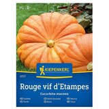 KIEPENKERL Zelenjavna semena Buča Rouge vif d'Etampes (Cucurbita maxima, Čas žetve: September) | Shoptok.si