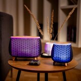 Truelife AIR Diffuser D4 ultrazvučni raspršivač mirisa i ovlaživač zraka 1 kom | shoptok.hr