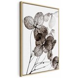  Slika - Transparent Clover (1 Part) Vertical 80x120 U prirodnom drvenom okviru | shoptok.hr
