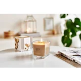 Essentials Cedar Wood mirisna svijeća 125 g