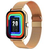 Avizar Povezan Balneo Watch 1,69 "zaslon Bluetooth 5.1 IP67 jeklena zapestnica, Zlata, (5000208917) Cene