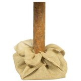  Božićna jelka sa deblom 180 cm, bor | Eponuda.com