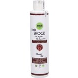 ANARKHIA hAIR SHOCK aktivirajući "Champi" gel Cijene