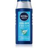 Nivea men cool fresh osvežilni šampon za normalne do mastne lase 250 ml za moške Cene