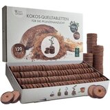 Own Grown Kokos tablete za nabrekanje | Shoptok.si