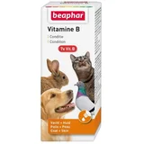 Vitamin B Complex 50 ml
