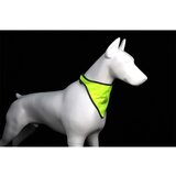 INF Odsevna rutka za hišne ljubljenčke, nastavljiva velikost Yellow M, (5000124501) | Shoptok.si