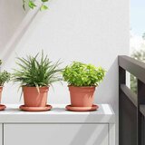  Okrugla saksija za cveće 24 pcs Crvena cigla Ø 12 5 x 10 cm - Crvena cigla Ø 12 5 x 10 cm 24 | shoptok.hr