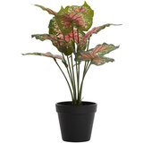 Light & Living Umjetna biljka (visina 40 cm) Caladium – | shoptok.hr