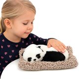 Lean Toys Ljubka speča panda na blazini | Shoptok.si