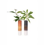 Sass & Belle Vaze v kompletu 2 ks iz kamenine (višina 12,5 cm) Mojave – | Shoptok.si