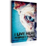  Slika - I Live Here Respect Please 60x90 Cijene