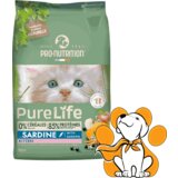 Pro Nutrition Pure Life Kitten 2kg, Prirodna Formula Za Rast Mačića Cene