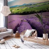 Artgeist Fototapeta Lavender Field, 300x210cm | Shoptok.si