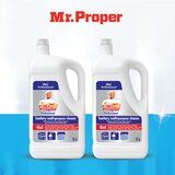 Mr. Proper Professional univerzalno sredstvo za čišćenje 5l x2 | ePonuda.com