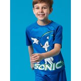 Sinsay Komplet od žerseja Sonic The Hedgehog | shoptok.hr