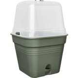  Set lonca za gojenje green basics 25 cm - kvadrat - listnato zelena Cene