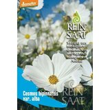 ReinSaat Bio kozmeja, bela Cene