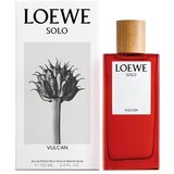 Loewe Solo Vulcan Eau de Parfum 100 ml | shoptok.hr