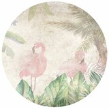  Okrugla fototapeta - Birds in the jungle 280x280 | shoptok.hr