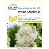 Saflax Beli rožlin Cene