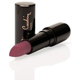 Pierre Cardin Paris Cosmetics pierre cardin porcelain edition ruž za usne spice rose Cene