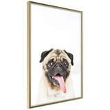  Poster - Funny Pug 40x60 Cijene