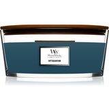 WoodWick Antiquarium dišeča sveča z lesenim stenjem (hearthwick) 453 g | Shoptok.si