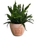  Terakota tegla FI 38 X H 30 cm PLANTER | shoptok.hr