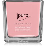 IPURO Essentials Flower Bowl dišeča sveča 125 g Cene