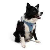Paws & Whiskers Am za pse Air Mesh Blue 3XS | Eponuda.com