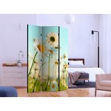 Artgeist PARAVAN 135/172/3 cm svetlo modra, svetlo zelena | Shoptok.si