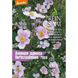ReinSaat Bio japonska anemona Cene