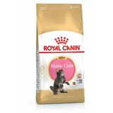 Royal Canin hrana za mačiće Maine Coon Kitten 2kg Cene