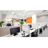 Steinel 079574 - senzor prisutnosti dualtech COM1 beo | Eponuda.com